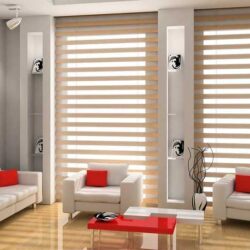 zebra-perde-nedir